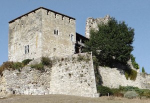 Château_de_Madaillan_-1