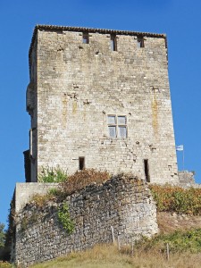 Château_de_Madaillan_-3