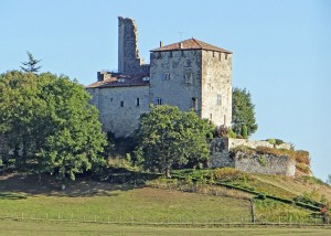 Château_de_Madaillan_-1